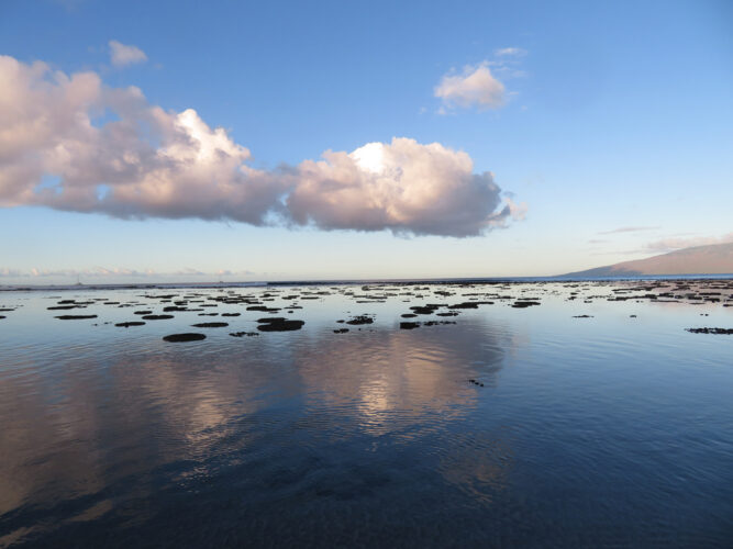 Send your best photos from Maui County to mauiphotos@mauinews.com for a chance to see them featured on our website and in our weekly print edition.